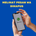 Cara Mudah Melihat Pesan WhatsApp yang Dihapus, Gak Penasaran Lagi!