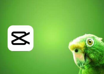 Cara Edit Green Screen di CapCut Biar Latar Hilang dan Diganti Gambar Lain