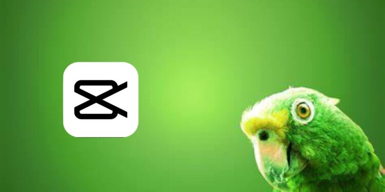 Cara Edit Green Screen di CapCut Biar Latar Hilang dan Diganti Gambar Lain