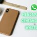 Cara Buat Tanda Centang Hijau di WhatsApp