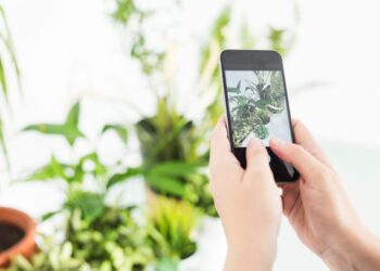 Tips Menghapus Akun WA dengan Nomor HP Sudah Tidak Aktif