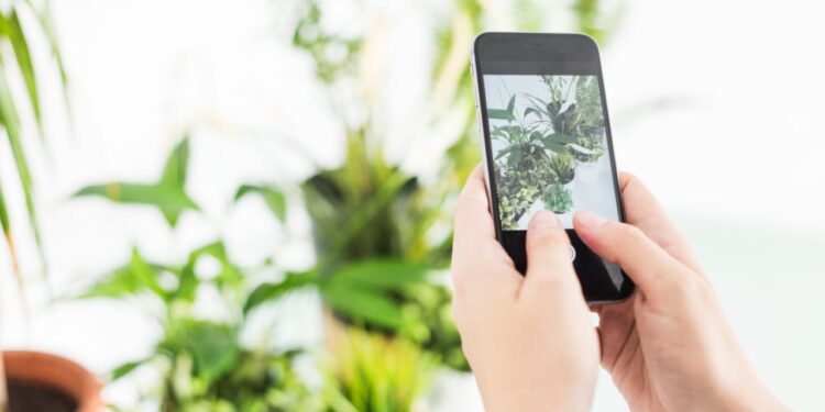 Tips Menghapus Akun WA dengan Nomor HP Sudah Tidak Aktif